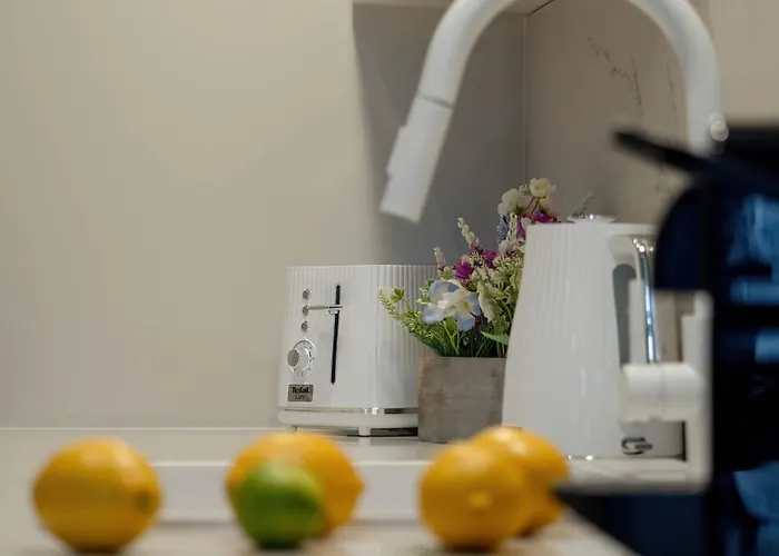 Jaracza Bright By Renters