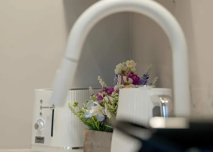 公寓 Jaracza Bright By Renters